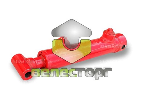 Гидроцилиндр (DZ 30х20х100) 00130323