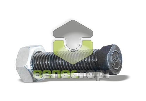 Болт с гайкой M14x60-10.9