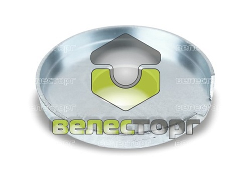 Крышка ступицы (D75/30,1x8 Zn) 32310064